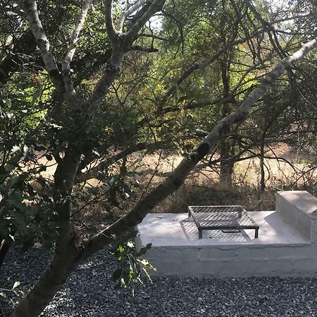 Leadwood Lodge Hoedspruit Εξωτερικό φωτογραφία