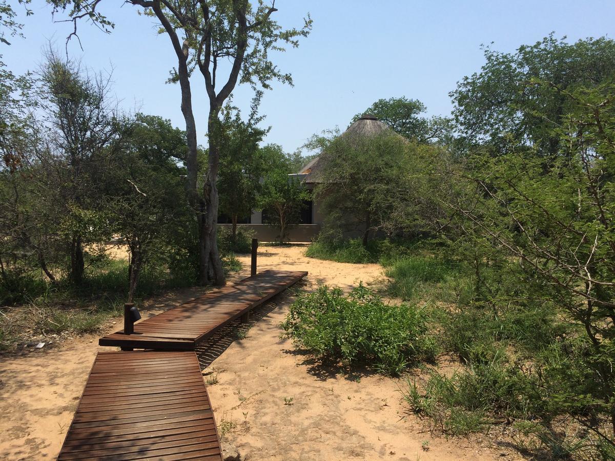 Leadwood Lodge Hoedspruit Εξωτερικό φωτογραφία