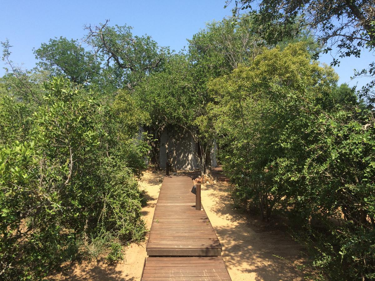 Leadwood Lodge Hoedspruit Εξωτερικό φωτογραφία