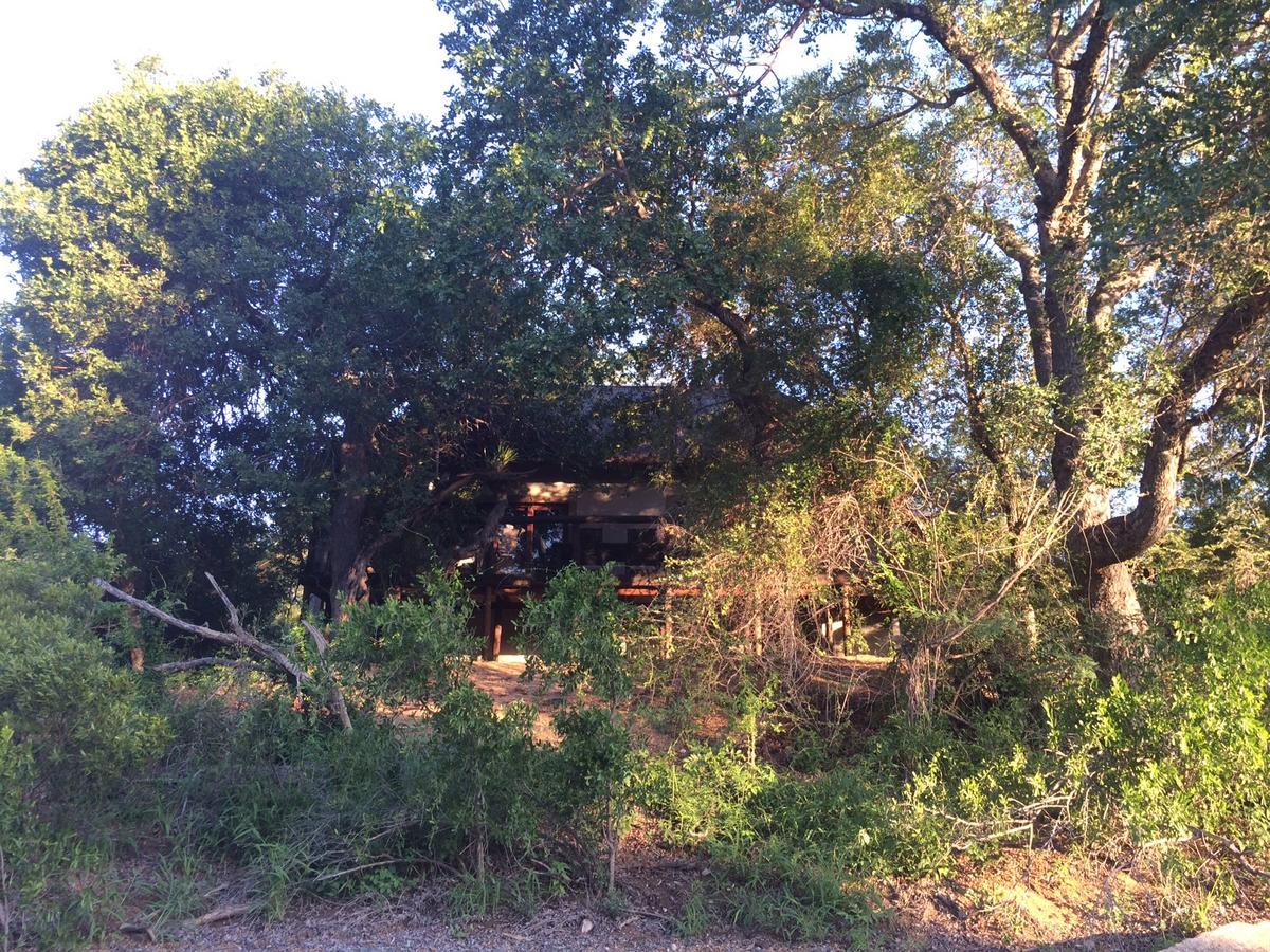 Leadwood Lodge Hoedspruit Εξωτερικό φωτογραφία