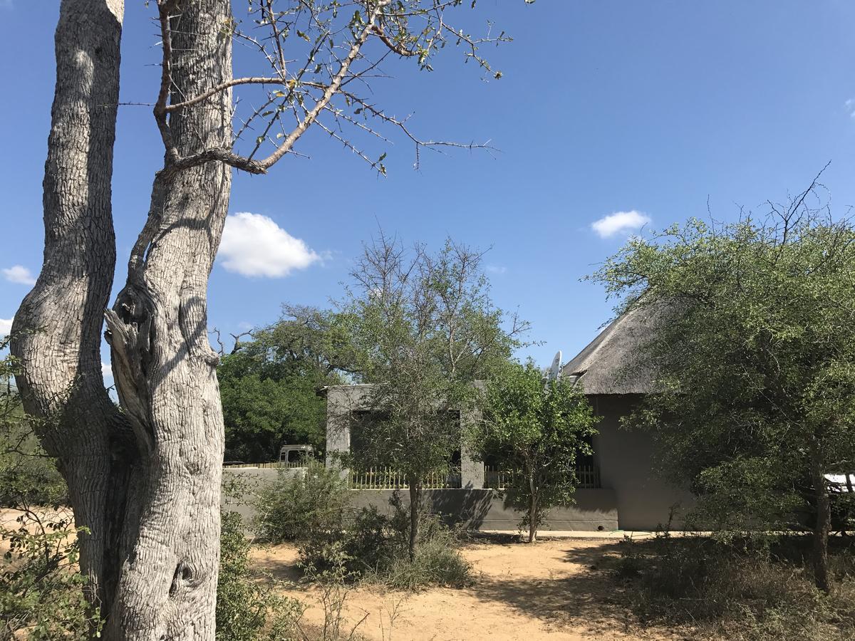 Leadwood Lodge Hoedspruit Εξωτερικό φωτογραφία