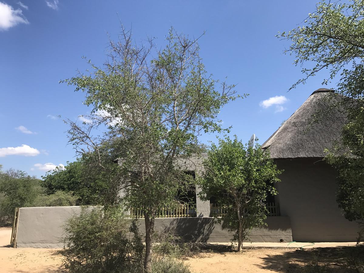 Leadwood Lodge Hoedspruit Εξωτερικό φωτογραφία